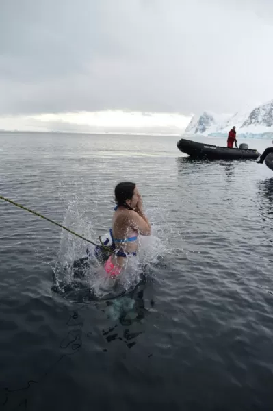 Polar Plunge: Into the icy abyss
