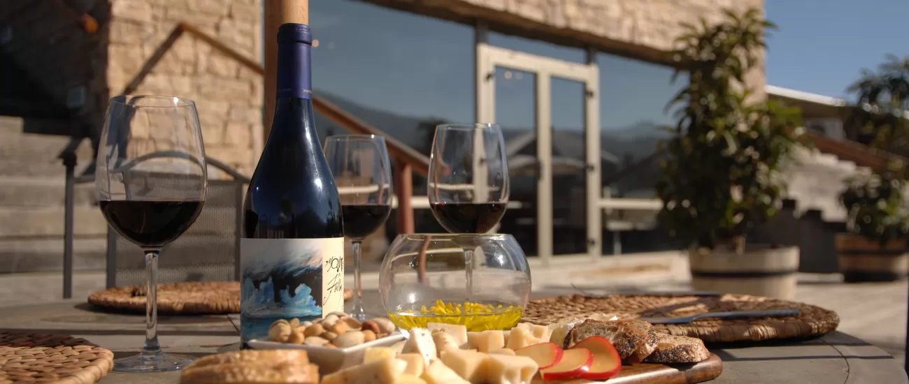 Taste the wonderful wines of the region on a Chile tour
