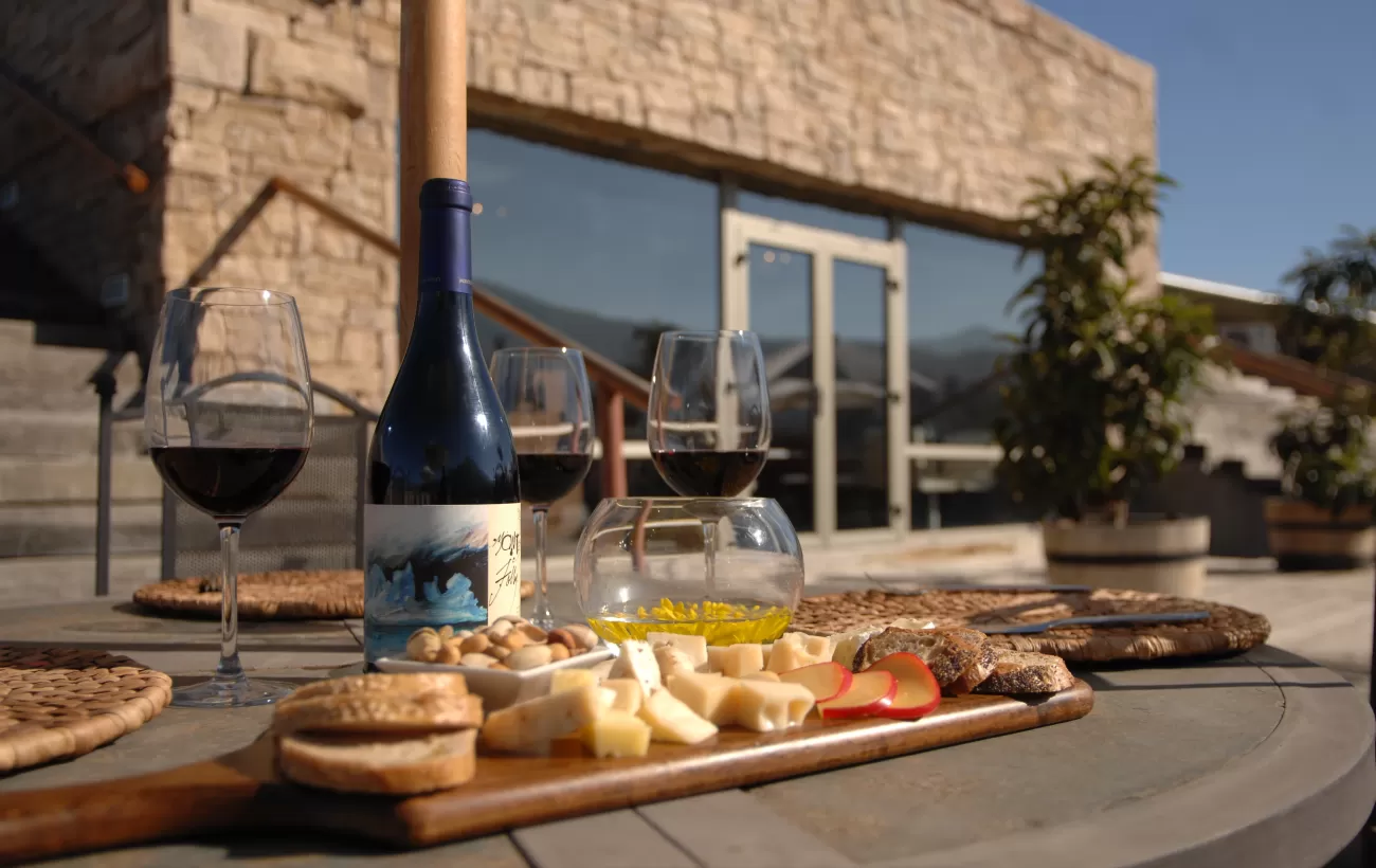 Taste the wonderful wines of the region on a Chile tour