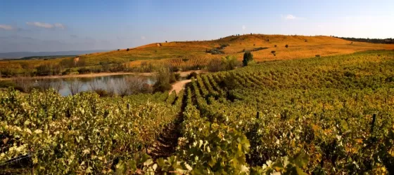 Ride your bike to beautiful vineyards on a Chile tour
