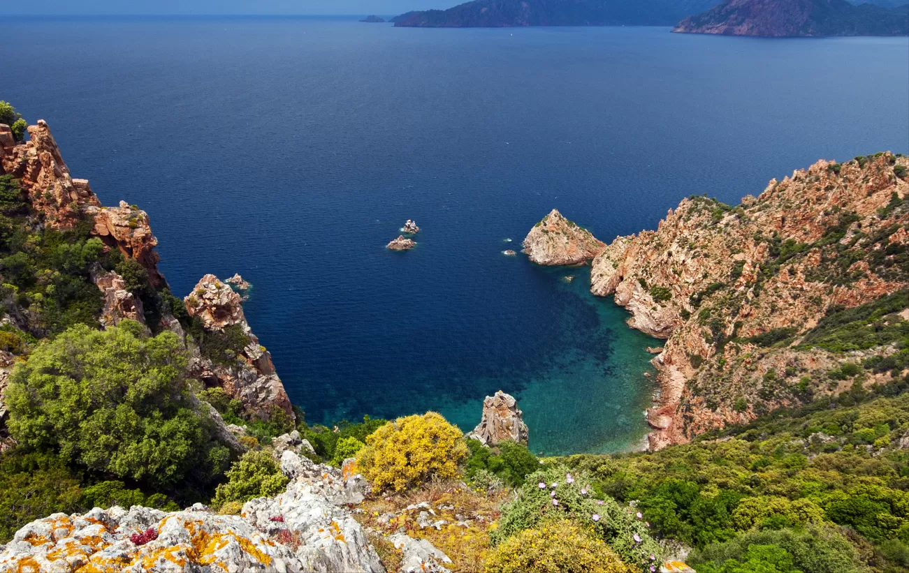 Sail around the crystal waters of Corsica