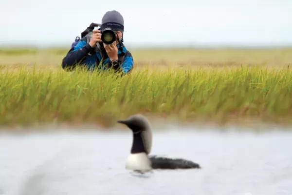 A photographer quietly oberves a local bird
