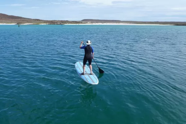 Practice your Stand-up Paddle Board skills in the Sea of Cortez