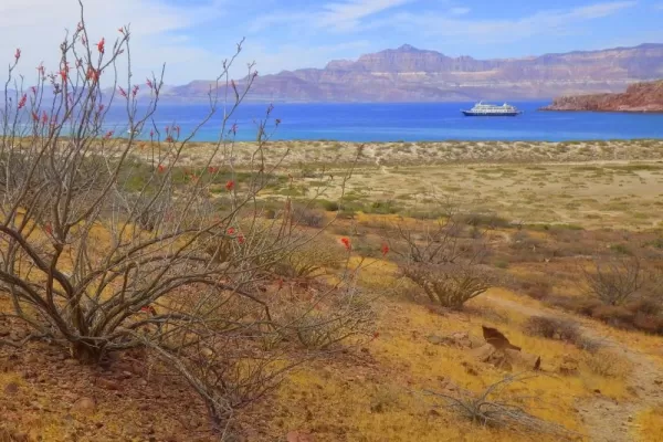 Take in the views of the Sea of Cortez