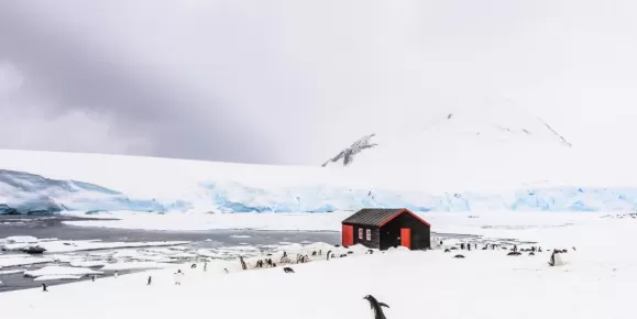 Port Lockroy Antarctica