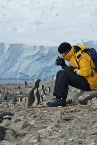Traveler encounters an inquisitive penguin