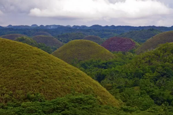 The unique landscape of the Chocolate Hills