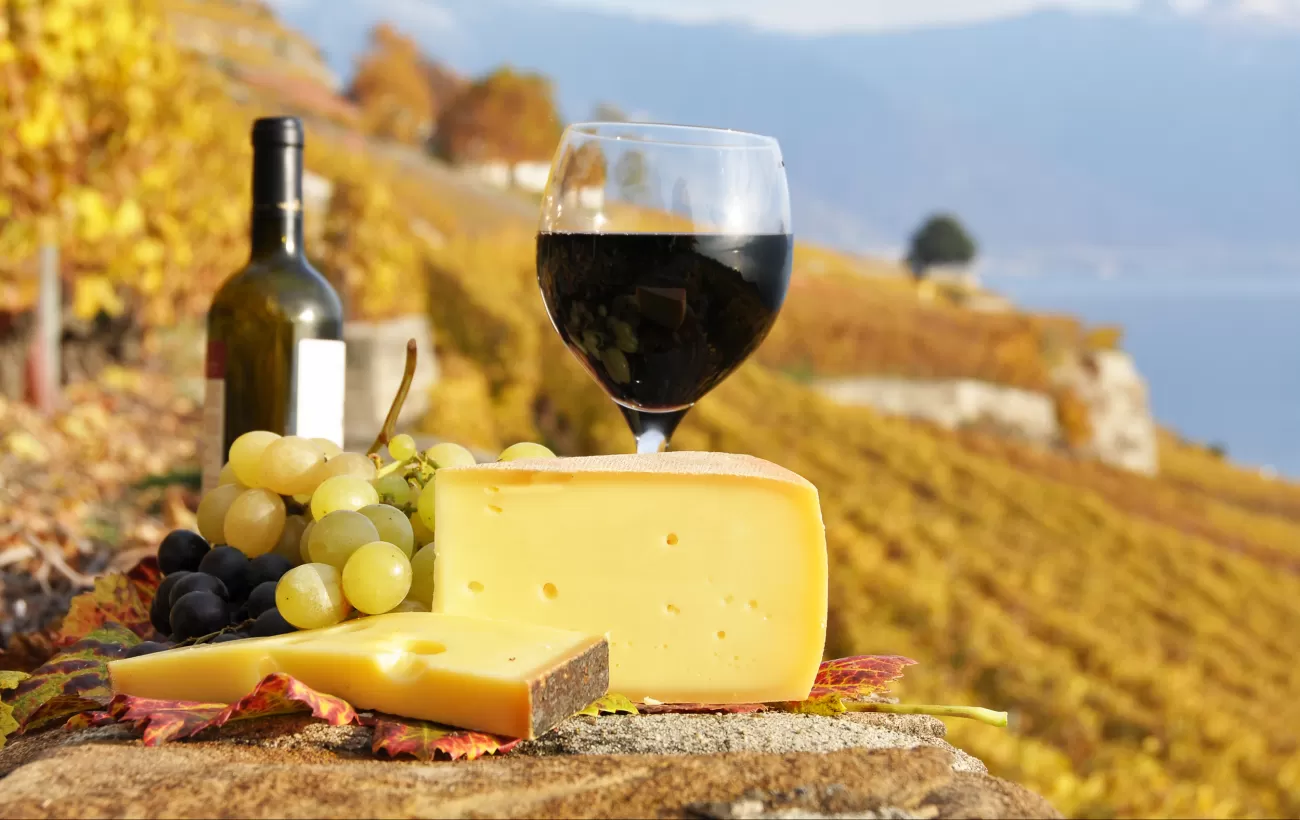 Delicious cheeses and wines enjoyed at a vineyard