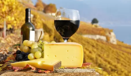 Delicious cheeses and wines enjoyed at a vineyard