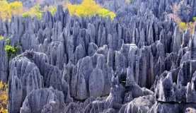 Stone blades of Tsingy de Bemaraha, Madagascar