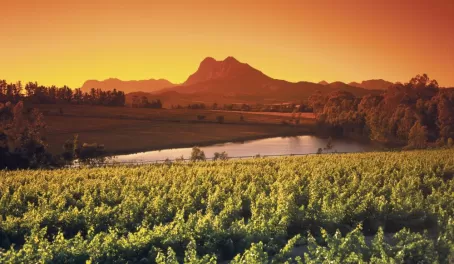 Sunrise above vineyards around Paarl, Western Cape, South Africa