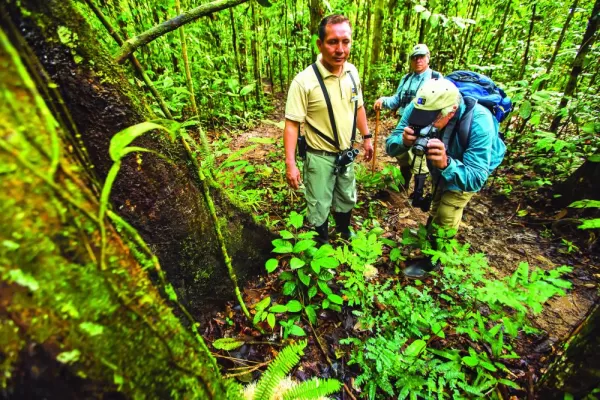 Get up close and personal with the Amazonian vegetation