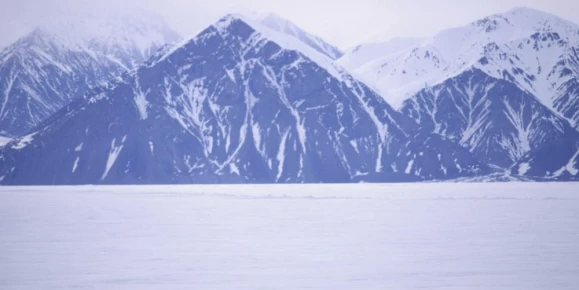 Sled dogs on Baffin Island, Canada