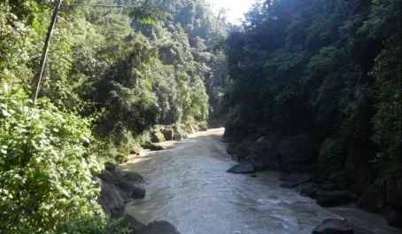 Pacuare River