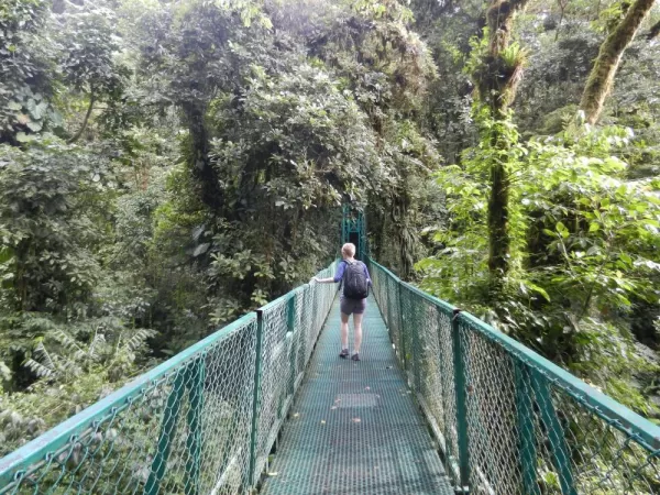Monteverde Canopy Walk
