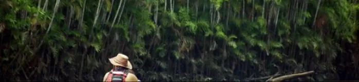 Kayaking the Amazon