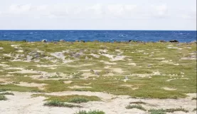 The barren beach of Mosquera