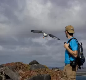 Forrest and the birds of the Galapagos Islands