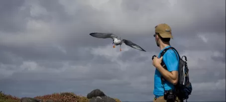 Forrest and the birds of the Galapagos Islands