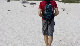 Forrest sets off on the island of Mosquera