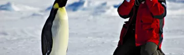 Penguin photo opp in Antarctica