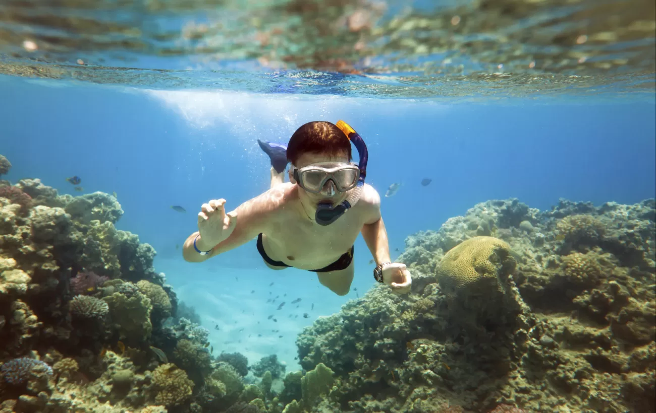 Snorkeling among the coral reef system