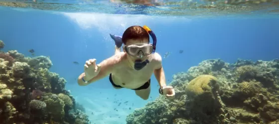 Snorkeling among the coral reef system