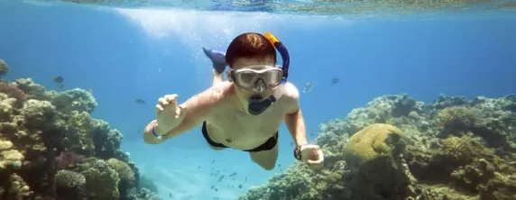Snorkeling among the coral reef system