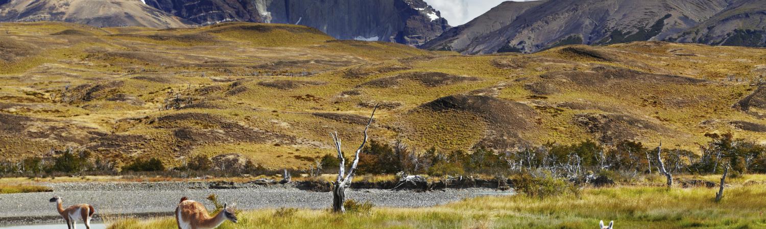 Patagonia Tours & Cruises - End of the World 11 Day Chile tour