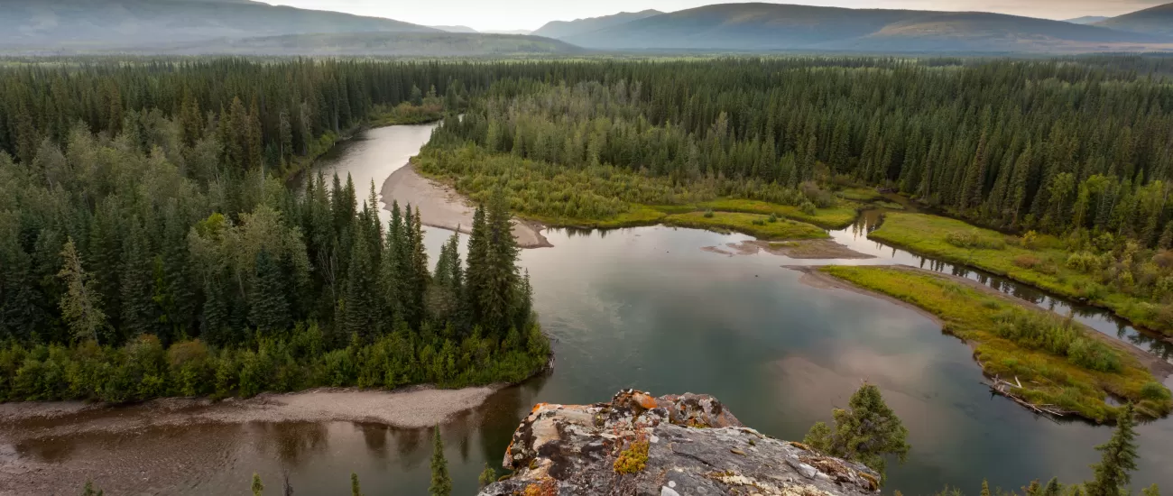 Yukon Canada taiga wilderness and McQuesten River
