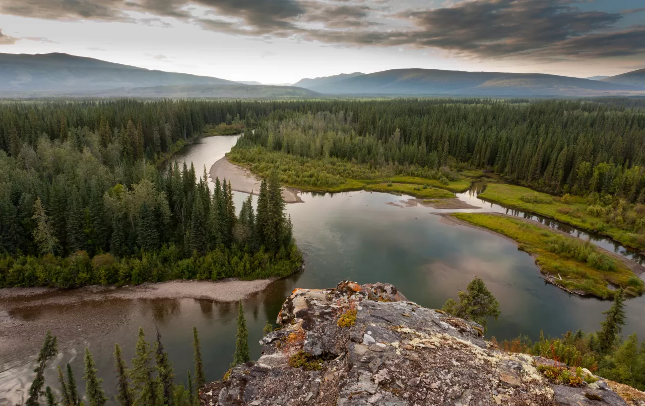 Yukon Canada taiga wilderness and McQuesten River