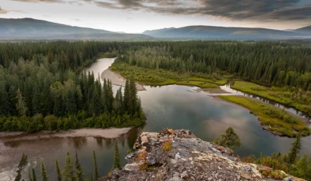 Yukon Canada taiga wilderness and McQuesten River