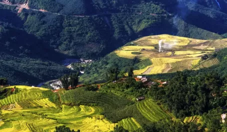 Rice field terraces of Myanmar