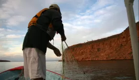 Net fishing on Espiritu Santo