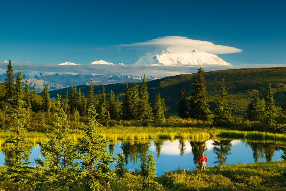 7 Best Denali National Park Trips, Tours & Cruises for 2024