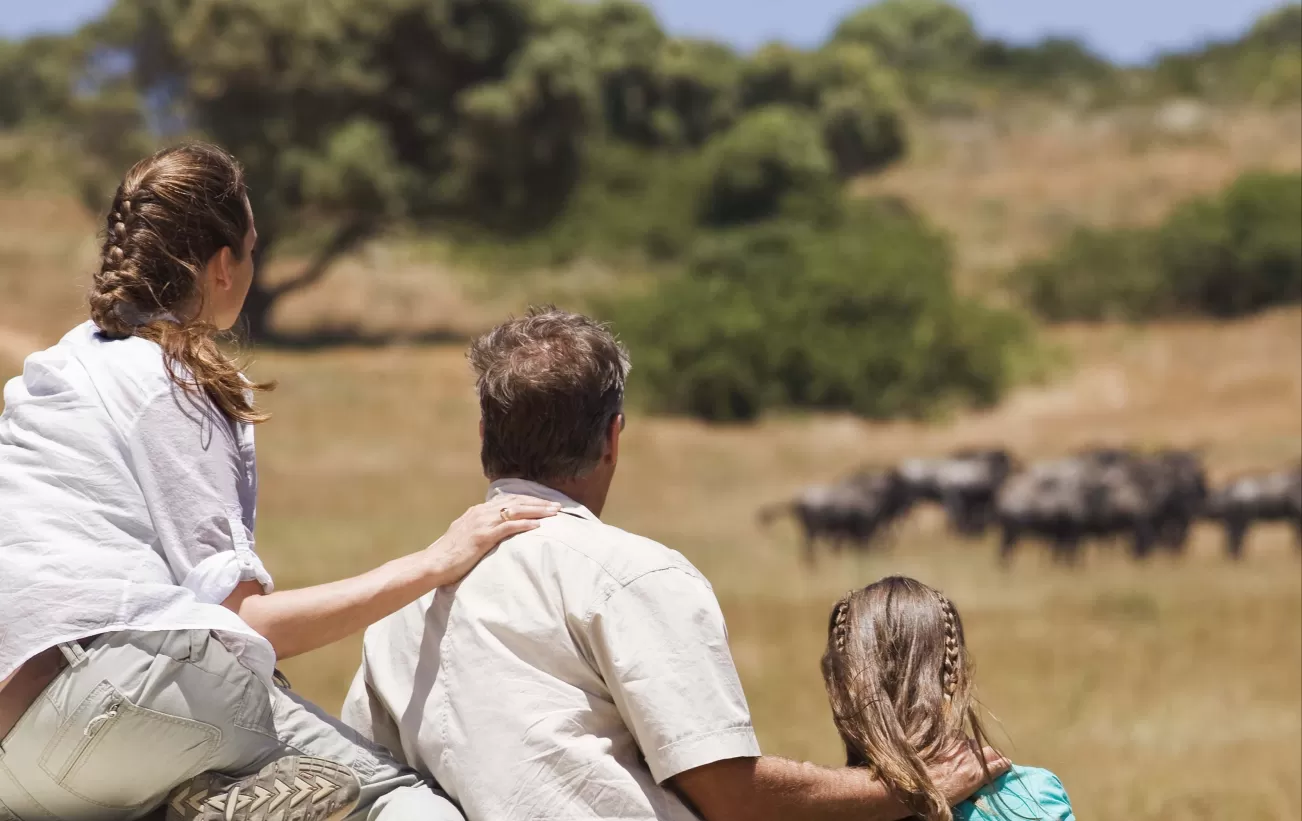 Family viewing wildlife on an African safari