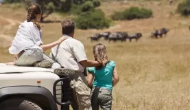 Family viewing wildlife on an African safari