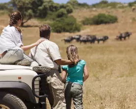 Family viewing wildlife on an African safari