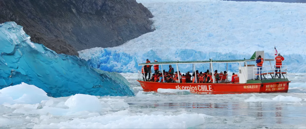 Take zodiacs on expeditions around the glaciers
