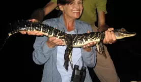 With a small crocodile