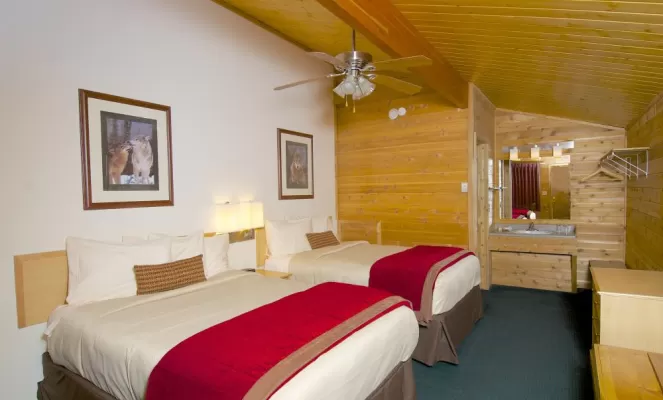 Cabin at Denali Backcountry Lodge