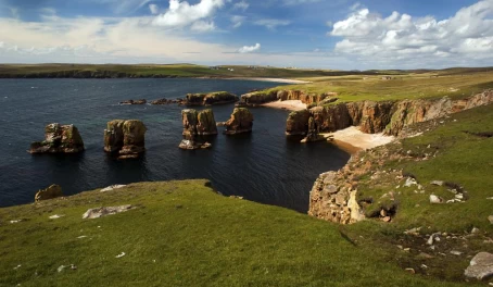 The dramatic coastline of the Shetland Islands