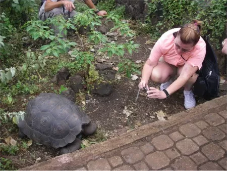 Darn Tourists. Get out of my face!!!