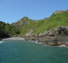 Marino Ballena National Park