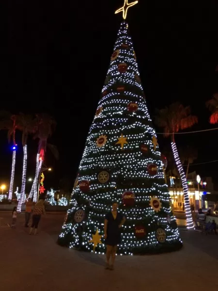 Christmas tree in La Paz
