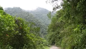 Ecuadorian landscape