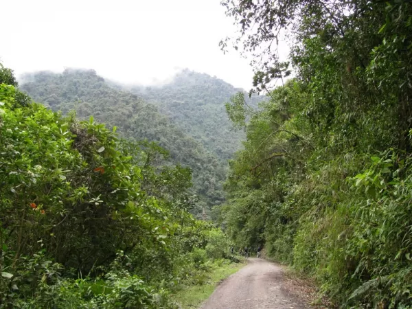 Ecuadorian landscape