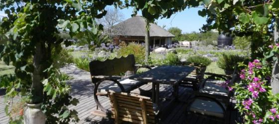 Shaded picnic area