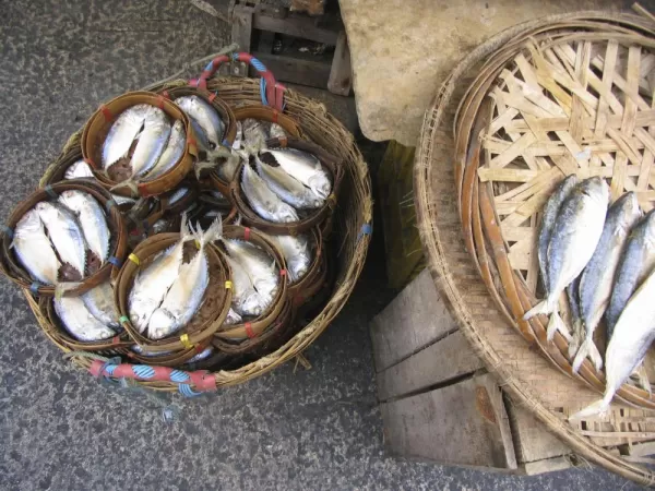 Mahachai fish market