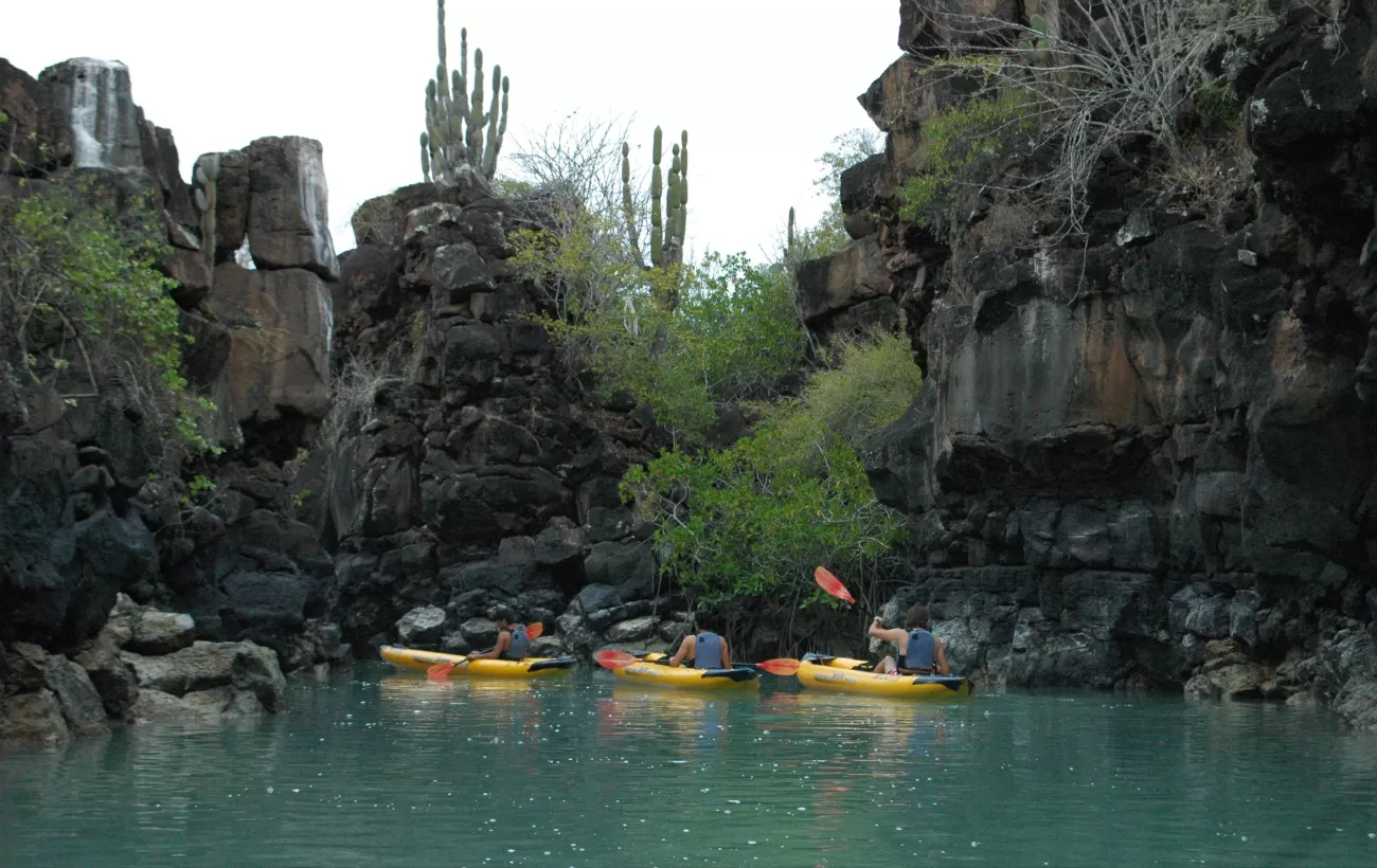 Kayaking in the Galapagos